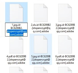 Ransomed files appended with the .adobe extension Ransomed files appended with the .adobe extension