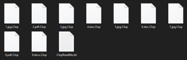 Files made inaccessible by the Clop ransomware