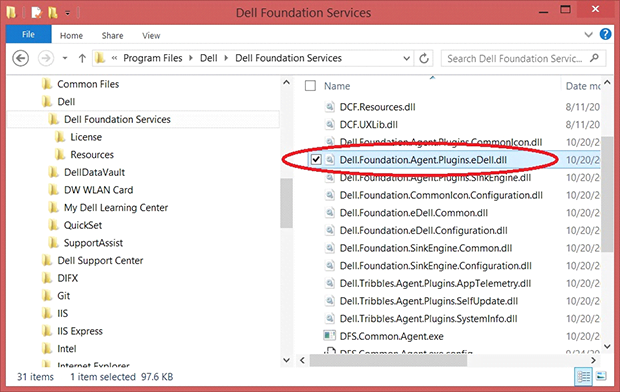 Delete Dell.Foundation.Agent.Plugins.eDell.dll