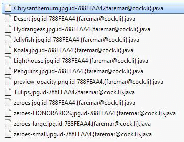 Encrypted files with the .java extension appended Encrypted files with the .java extension appended