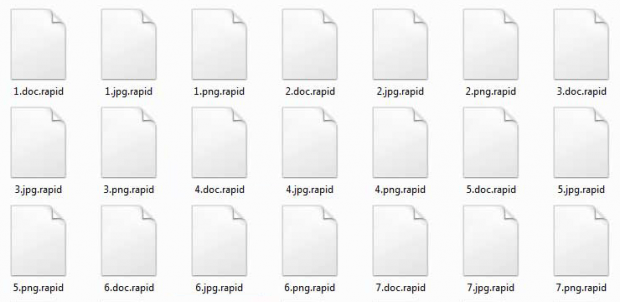 Inaccessible files tainted with the .rapid extension Inaccessible files tainted with the .rapid extension