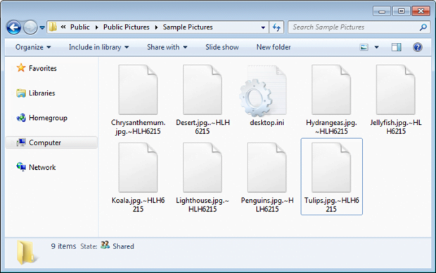 .~HL[5 characters] extension files encrypted by Hades Locker