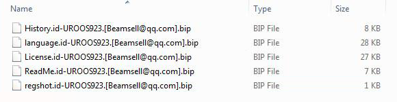 Encrypted files with the .bip extension Encrypted files with the .bip extension