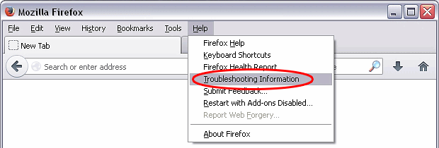 Firefox Troubleshooting Information interface