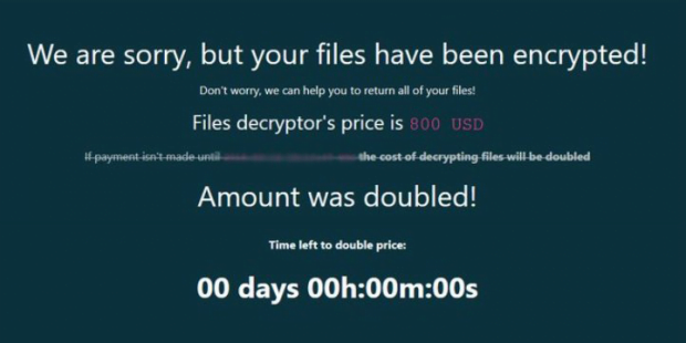 Information provided on GandCrab payment page
