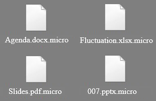 Inaccessible files with .micro extension Inaccessible files with .micro extension