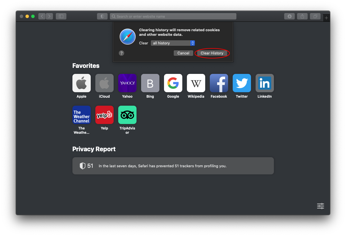 Clear history on Safari