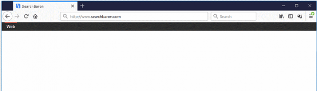 The misleadingly regular look and feel of SearchBaron.com site The misleadingly regular look and feel of SearchBaron.com site