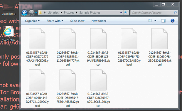Ykcol/Locky ransomware modifies data beyond regular recovery Ykcol/Locky ransomware modifies data beyond regular recovery